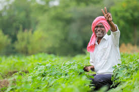 വിത്ത്