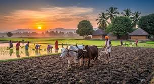 ട്രോഫി